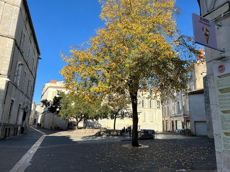 Le Logis Des Templiers Vieux Port Apartment La Rochelle  Bagian luar foto